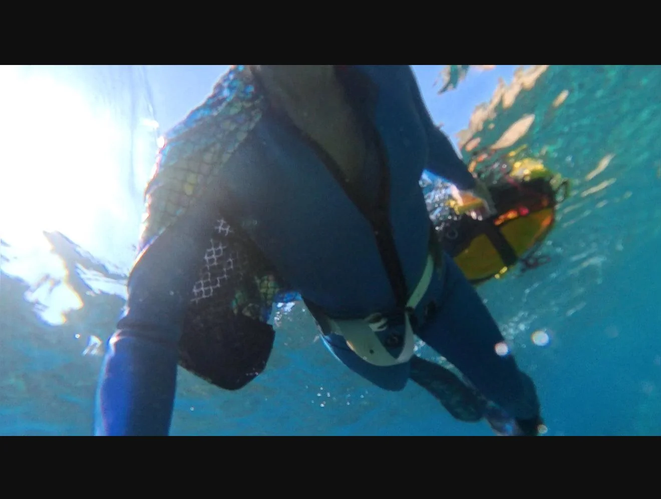 Capitana diving